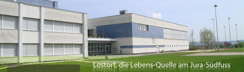 Kreisschule